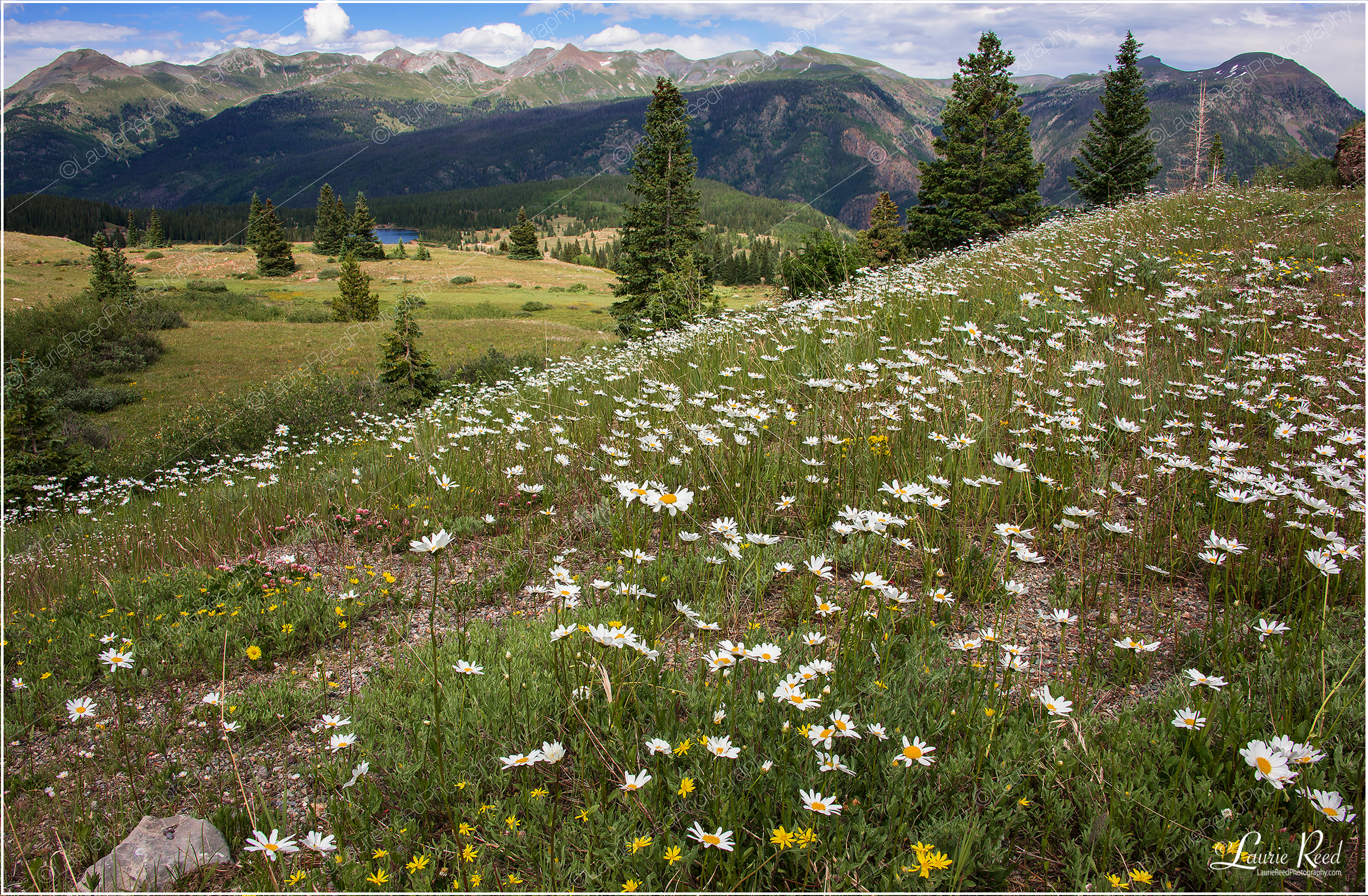 Molas Pass-1322 © Laurie Reed Photography